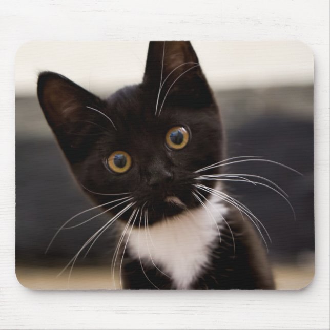 Cute Black And White Tuxedo Kitten Mouse Pad (Front)