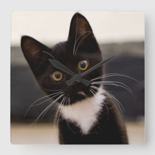 Cute Black And White Tuxedo Kitten Square Wall Clock