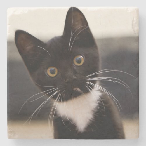Cute Black And White Tuxedo Kitten Stone Coaster