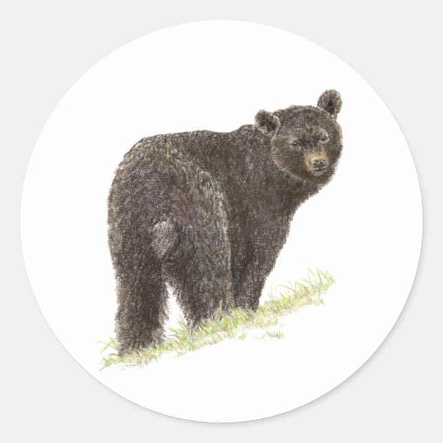 Cute Black Bear,   Animal Nature, Wildlife Classic Round Sticker (Front)