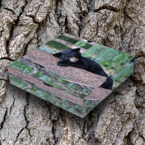 Cute Black Bear Cub or Your Own Photo Square Paperweight