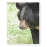 Cute Black Bear Temporary Tattoos