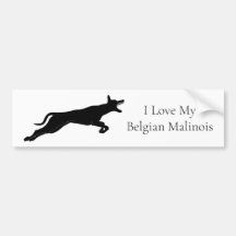 Cute Black Belgian Malinois Bumper Sticker