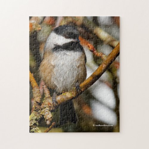 Cute Black_Capped Chickadee in the Tree Jigsaw Puzzle