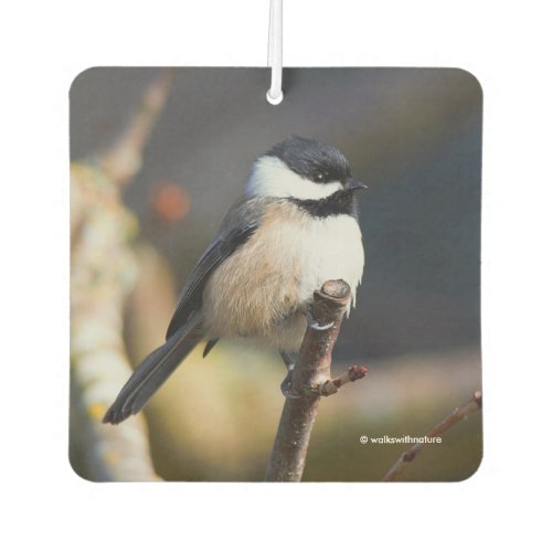 Cute Black_Capped Chickadee on Branch Air Freshener