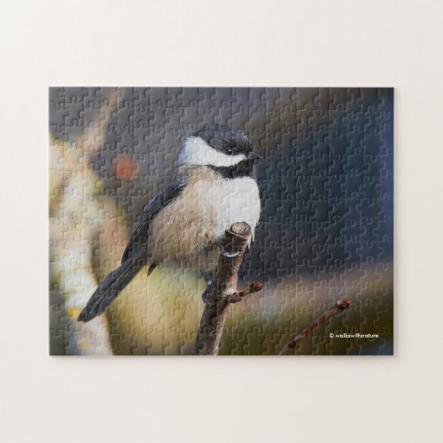 Cute Black_Capped Chickadee on Branch Jigsaw Puzzle