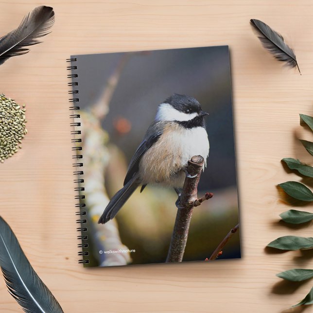 Cute Black-Capped Chickadee on Branch Notebook (Black-Capped Chickadee on the Cherry Tree Journal Cover Photo)