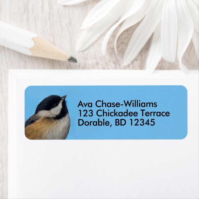 Cute Black-Capped Chickadee on Pear Tree Label (Insitu)