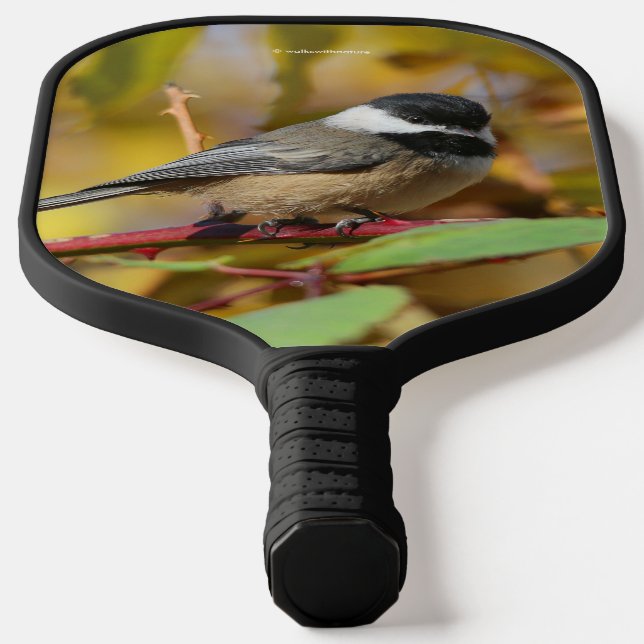 Cute Black-Capped Chickadee on the Branch Pickleball Paddle (Laydown)