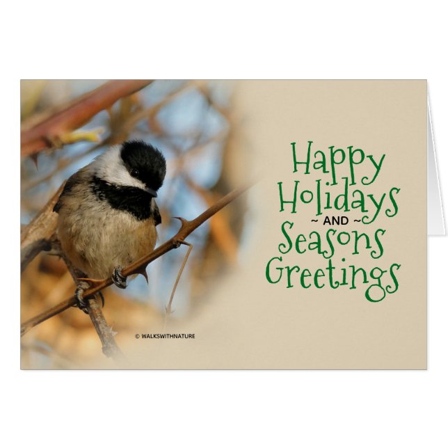 Cute Black-Capped Chickadee Songbird Christmas (Front Horizontal)