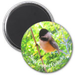 Cute Black Capped Chickadee Wild Birds Nature Magnet at Zazzle