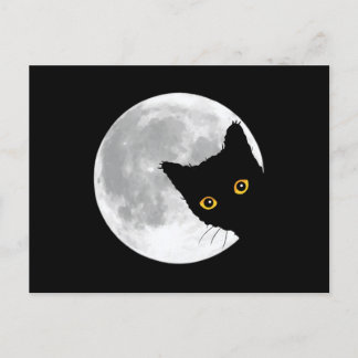 Cute Black Cat Full Moon Postcard