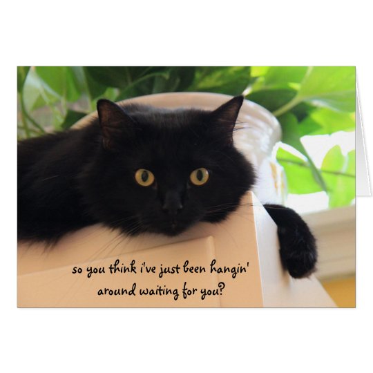 Cute Black Cat, Funny "miss you" card | Zazzle.com