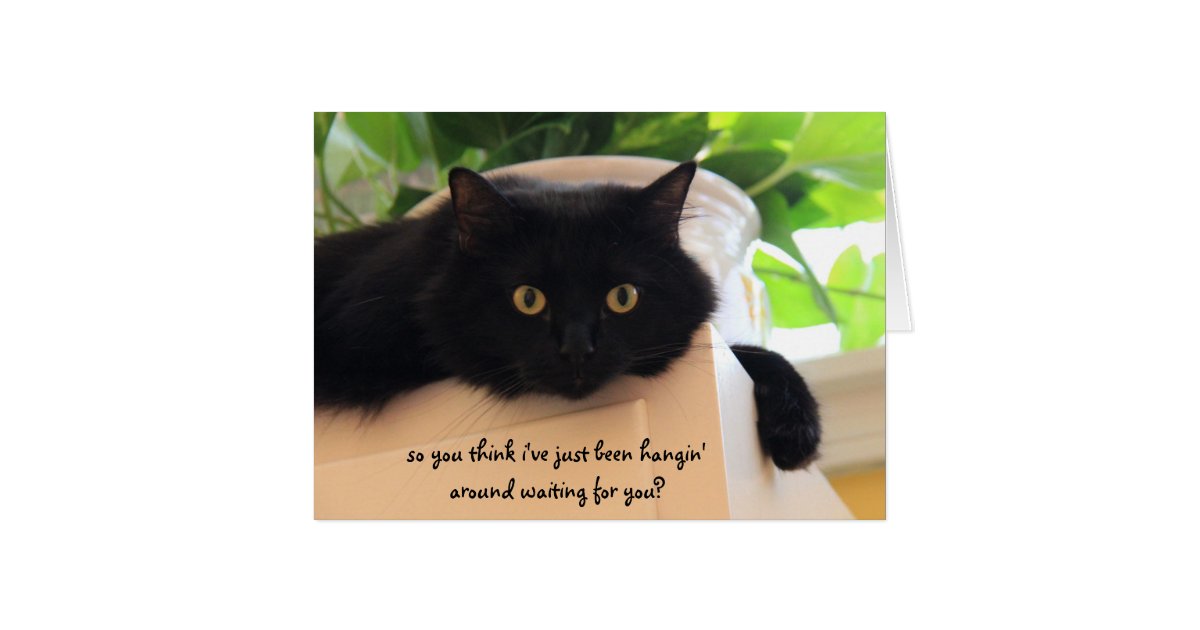 Cute Black Cat Funny Miss You Card 5528