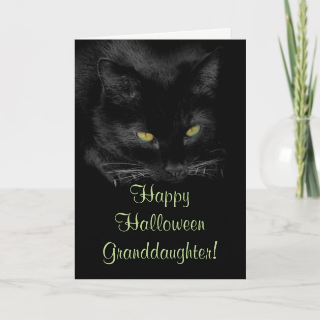 Cute Black Cat Halloween Granddaughter Invitation
