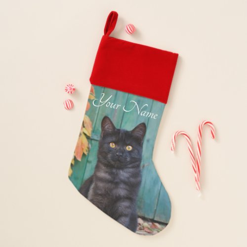 Cute Black Cat Kitten Red Leaves Blue Door __ Name Christmas Stocking