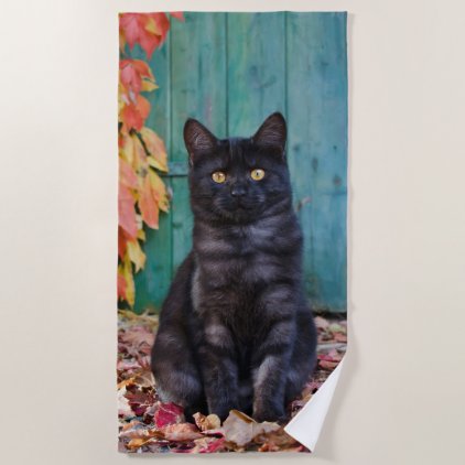 Cute Black Cat Kitten with Red Leaves Blue Door __ Beach Towel