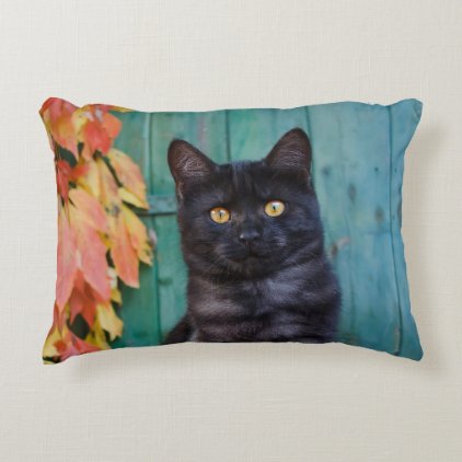 Cute Black Cat Kitten with Red Leaves Blue Door .- Decorative Pillow