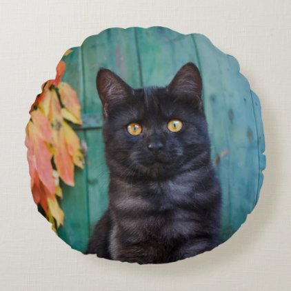 Cute Black Cat Kitten with Red Leaves Blue Door :: Round Pillow