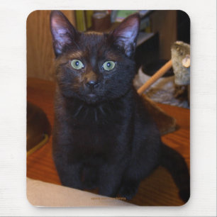 Cute  Black Cat  Mousepad