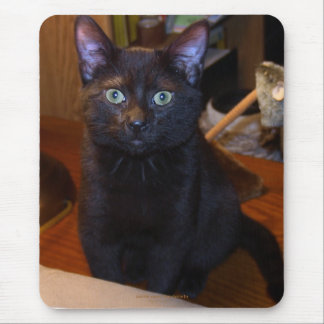 Cute Black Cat Mousepad
