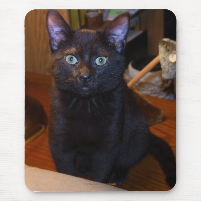 Cute  Black Cat  Mousepad (Front)