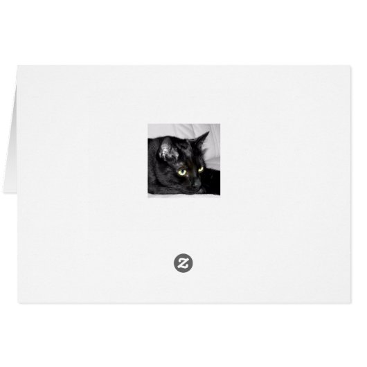 Cute Black Cat Portrait (Back Horizontal)