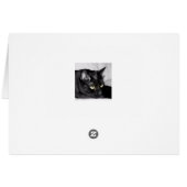 Cute Black Cat Portrait Cards (Back Horizontal)