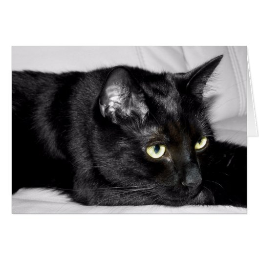 Cute Black Cat Portrait Cards (Front Horizontal)