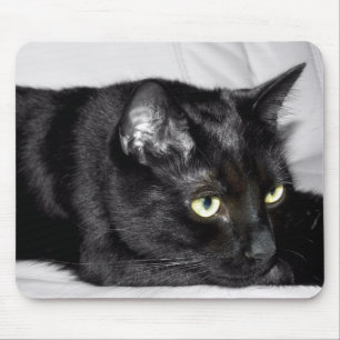 Cute Black Cat Portrait Mouse Pad