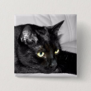 Cute Black Cat Portrait Pinback Button
