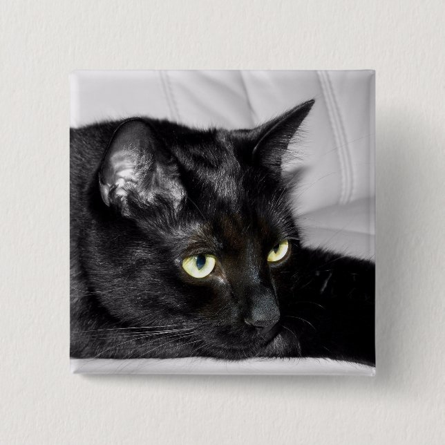 Cute Black Cat Portrait Pinback Button (Front)
