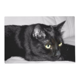 Cute Black Cat Portrait Placemat