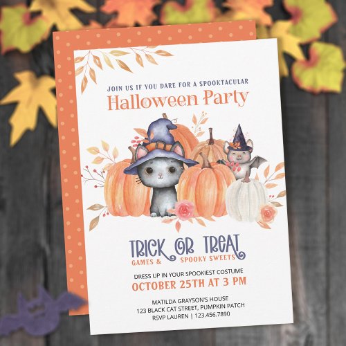 Cute Black Cat Pumpkin Patch Kids Halloween Party Invitation