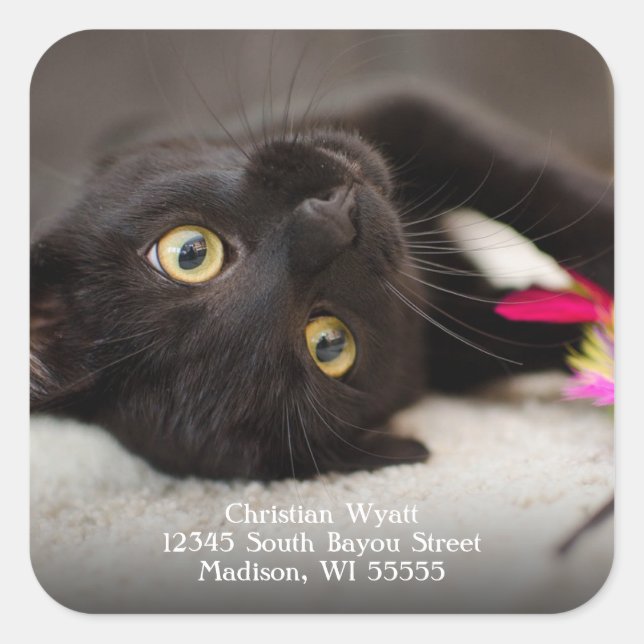 Cute Black Cat Return Address Square Sticker (Front)