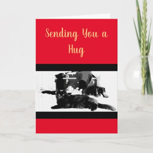 Cute black cat Sending You a Hug Card