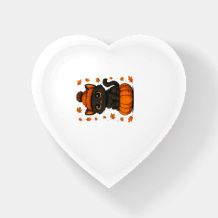 Cute Black Cat Sitting on Pumpkin Fall Aesthetic A Paperweight
