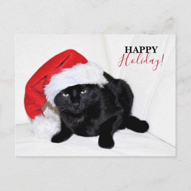 Cute Black Cat with Santa Hat Holiday Postcard (Front)
