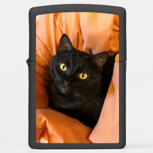 Cute Black Cat Zippo Lighter