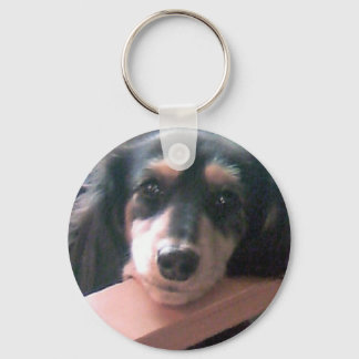 Cute black cream dachshund! keychain