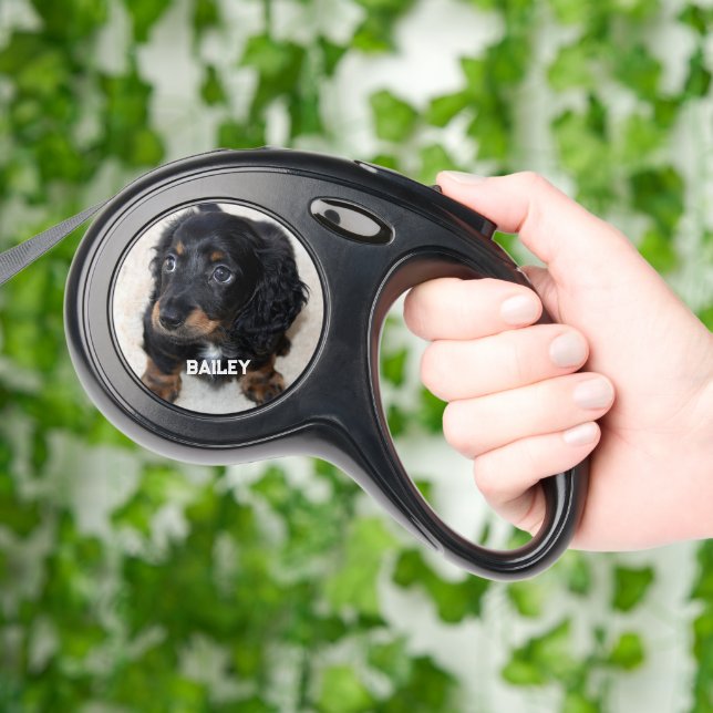 Cute black Dachshund Puppy Dog 2 Photo Retractable Pet Leash (Hand)