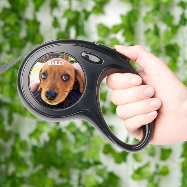 Cute black Dachshund Puppy Dog 2 Photo Retractable Pet Leash (Hand)