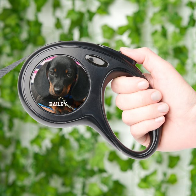 Cute black Dachshund Puppy Dog 2 Photo Retractable Pet Leash (Hand)