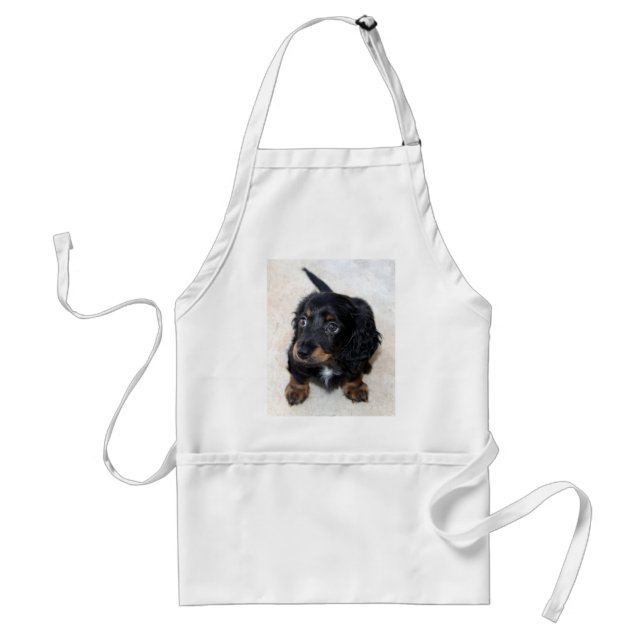 Cute black Dachshund Puppy Dog  Adult Apron (Front)