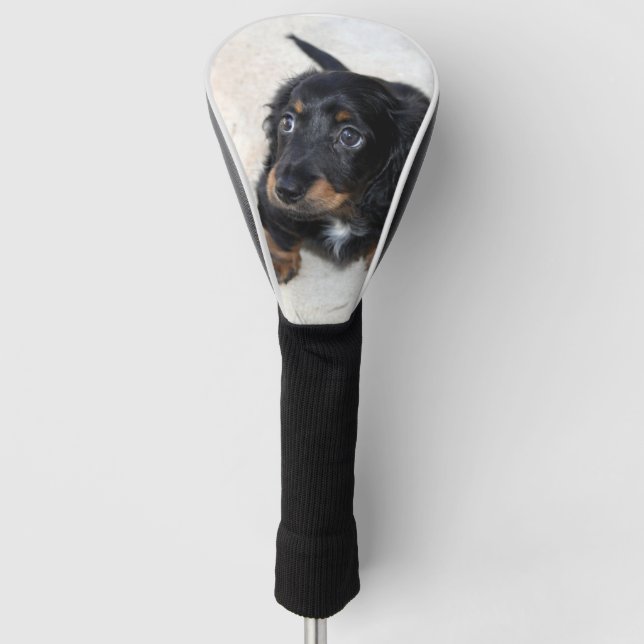 Cute black Dachshund Puppy Dog Golf Head Cover (Front)