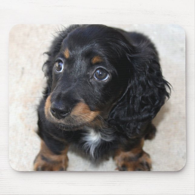 Cute black Dachshund Puppy Dog Mouse Pad (Front)