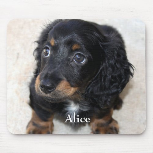 Cute black Dachshund Puppy Dog Pet Mouse Pad