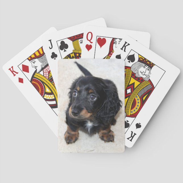 Cute black Dachshund Puppy Dog Poker Cards (Back)