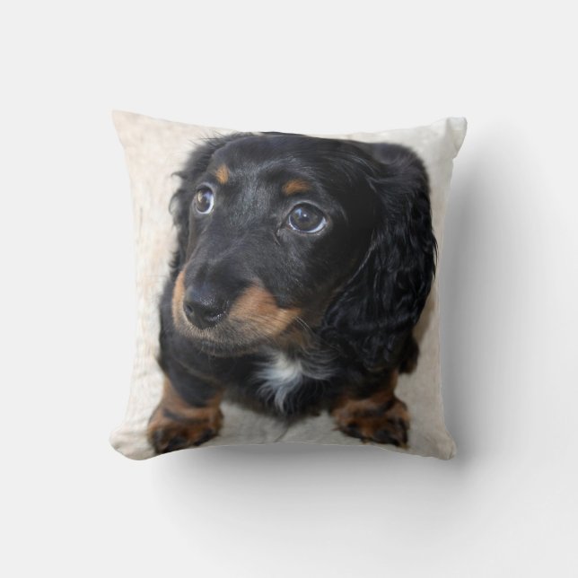 Cute black Dachshund Puppy Dog Throw Pillow (Front)