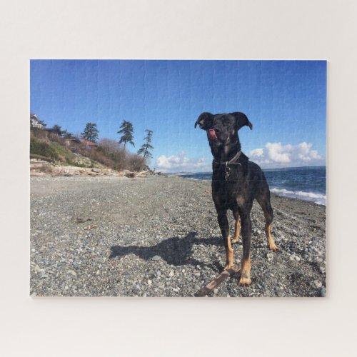 Cute Black Dog Lab Shepherd Picture Photo Beach Jigsaw Puzzle